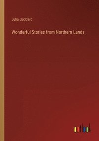 bokomslag Wonderful Stories from Northern Lands