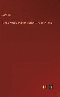 bokomslag Public Works and the Public Service in India