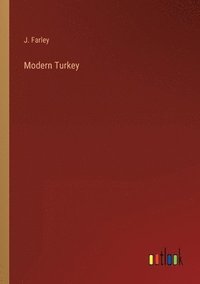 bokomslag Modern Turkey