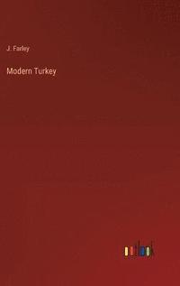 bokomslag Modern Turkey