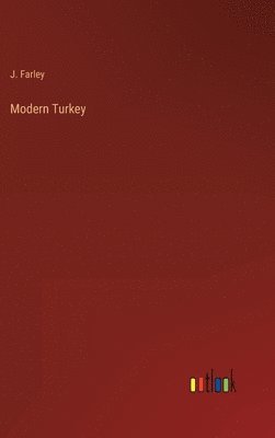 bokomslag Modern Turkey