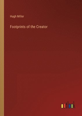 bokomslag Footprints of the Creator