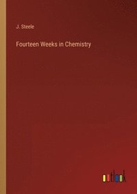 bokomslag Fourteen Weeks in Chemistry