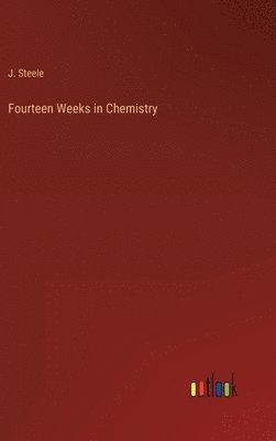 bokomslag Fourteen Weeks in Chemistry