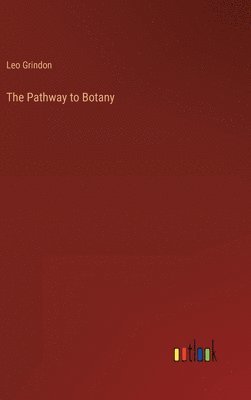 bokomslag Pathway to Botany