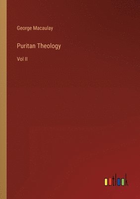 bokomslag Puritan Theology