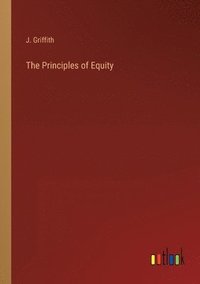 bokomslag Principles of Equity