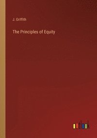 bokomslag The Principles of Equity