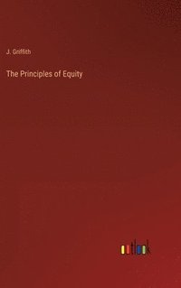 bokomslag Principles of Equity