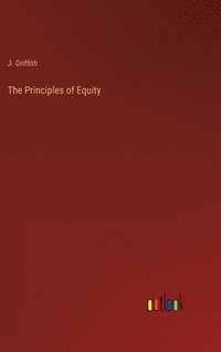 bokomslag The Principles of Equity