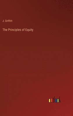 bokomslag Principles of Equity