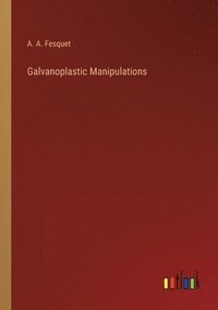 bokomslag Galvanoplastic Manipulations