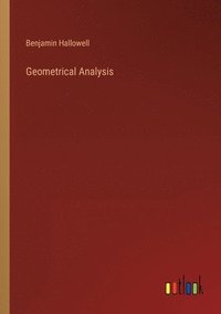 bokomslag Geometrical Analysis