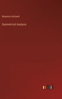 bokomslag Geometrical Analysis