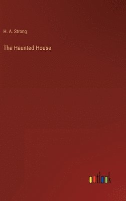 bokomslag Haunted House