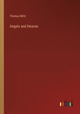 bokomslag Angels and Heaven
