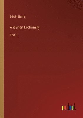 bokomslag Assyrian Dictionary