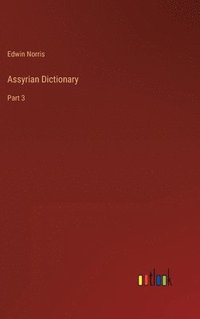 bokomslag Assyrian Dictionary