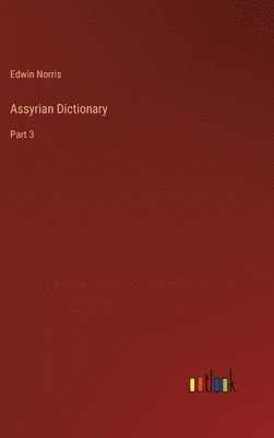 bokomslag Assyrian Dictionary
