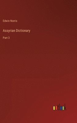 bokomslag Assyrian Dictionary