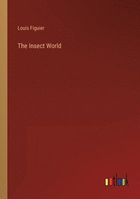 The Insect World 1