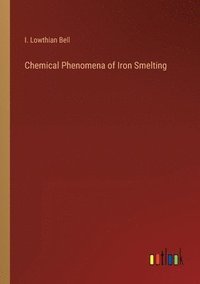 bokomslag Chemical Phenomena of Iron Smelting