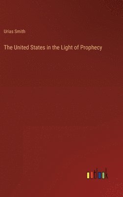 bokomslag The United States in the Light of Prophecy