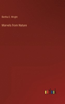 bokomslag Marvels from Nature