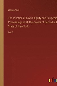 bokomslag The Practice at Law in Equity and in Special Proceedings in all the Courts of Record in the State of New York