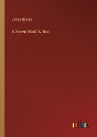 bokomslag A Seven Months' Run