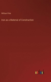 bokomslag Iron as a Material of Construction