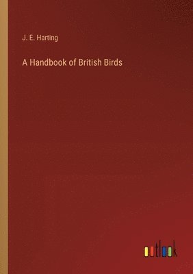 bokomslag A Handbook of British Birds