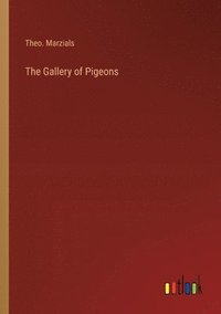 bokomslag The Gallery of Pigeons