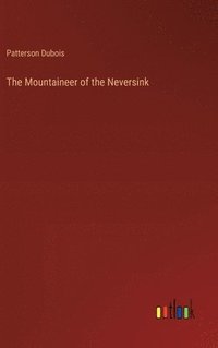 bokomslag The Mountaineer of the Neversink