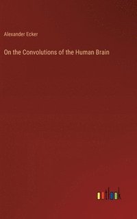 bokomslag On the Convolutions of the Human Brain