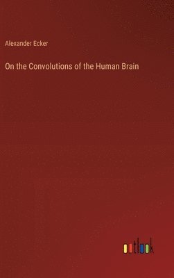 bokomslag On the Convolutions of the Human Brain