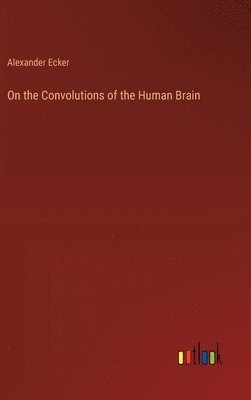 On the Convolutions of the Human Brain