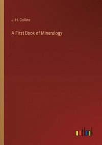 bokomslag A First Book of Mineralogy