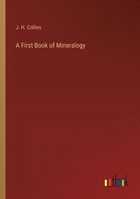 bokomslag A First Book of Mineralogy