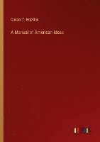 bokomslag A Manual of American Ideas