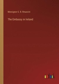bokomslag The Embassy in Ireland