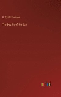 bokomslag The Depths of the Sea