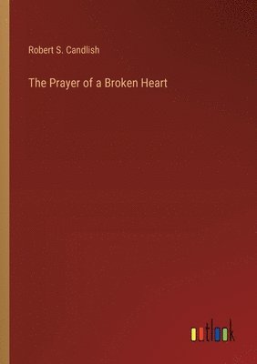 bokomslag The Prayer of a Broken Heart