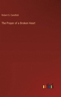 bokomslag The Prayer of a Broken Heart