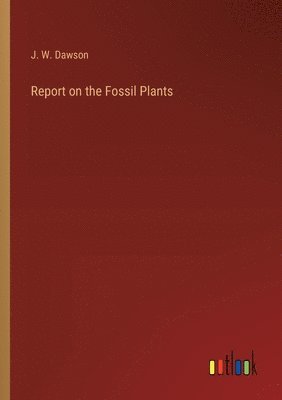 bokomslag Report on the Fossil Plants