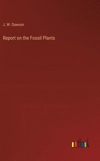 bokomslag Report on the Fossil Plants