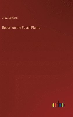 bokomslag Report on the Fossil Plants
