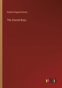 bokomslag The Overall Boys