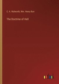 bokomslag The Doctrine of Hell