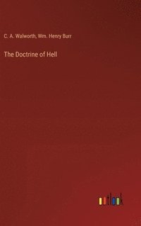 bokomslag The Doctrine of Hell